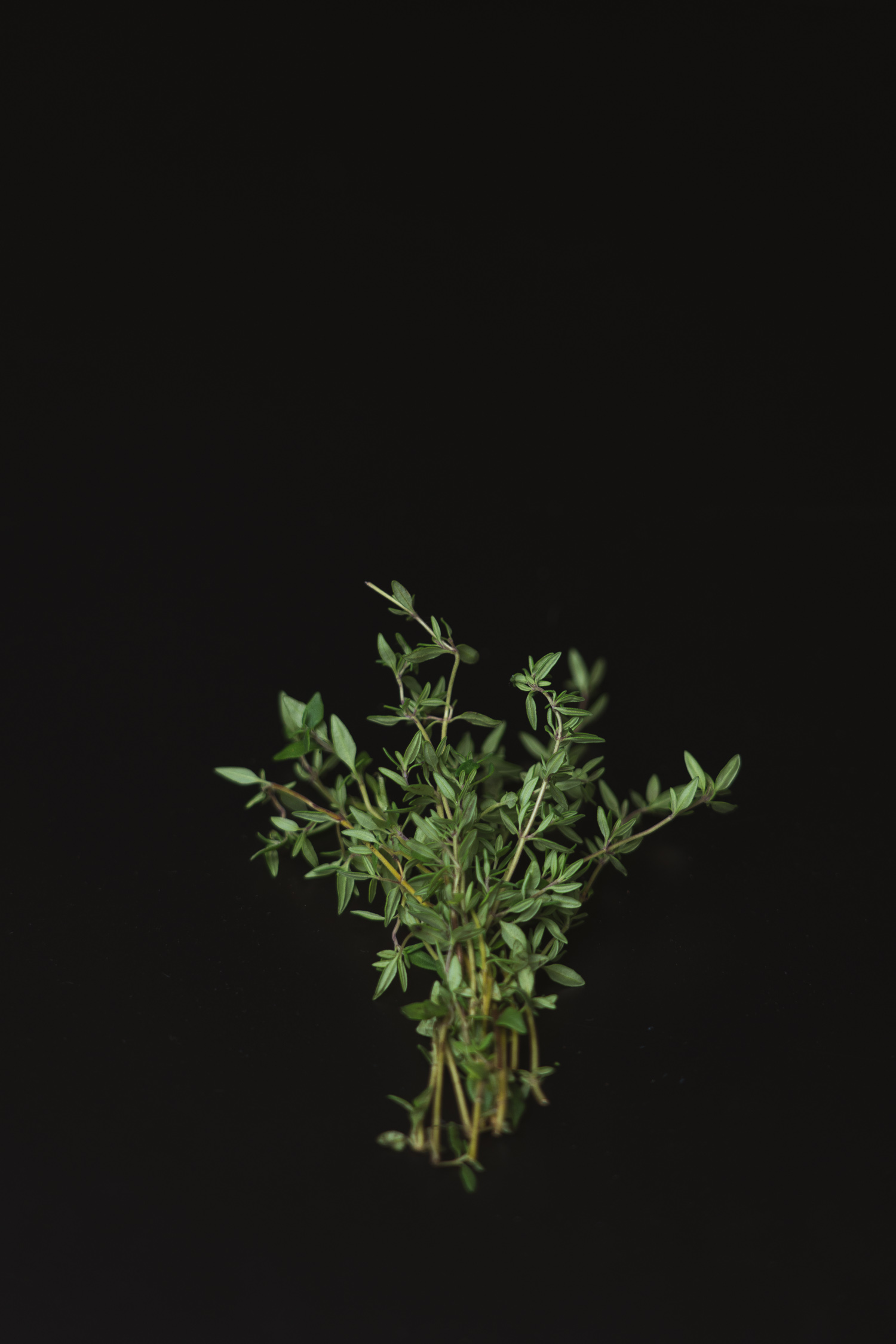 Kasvispainotteinen ruokavalio punajuuresta onnistuu tällä punajuurifetapastareseptillä. Valokuva.