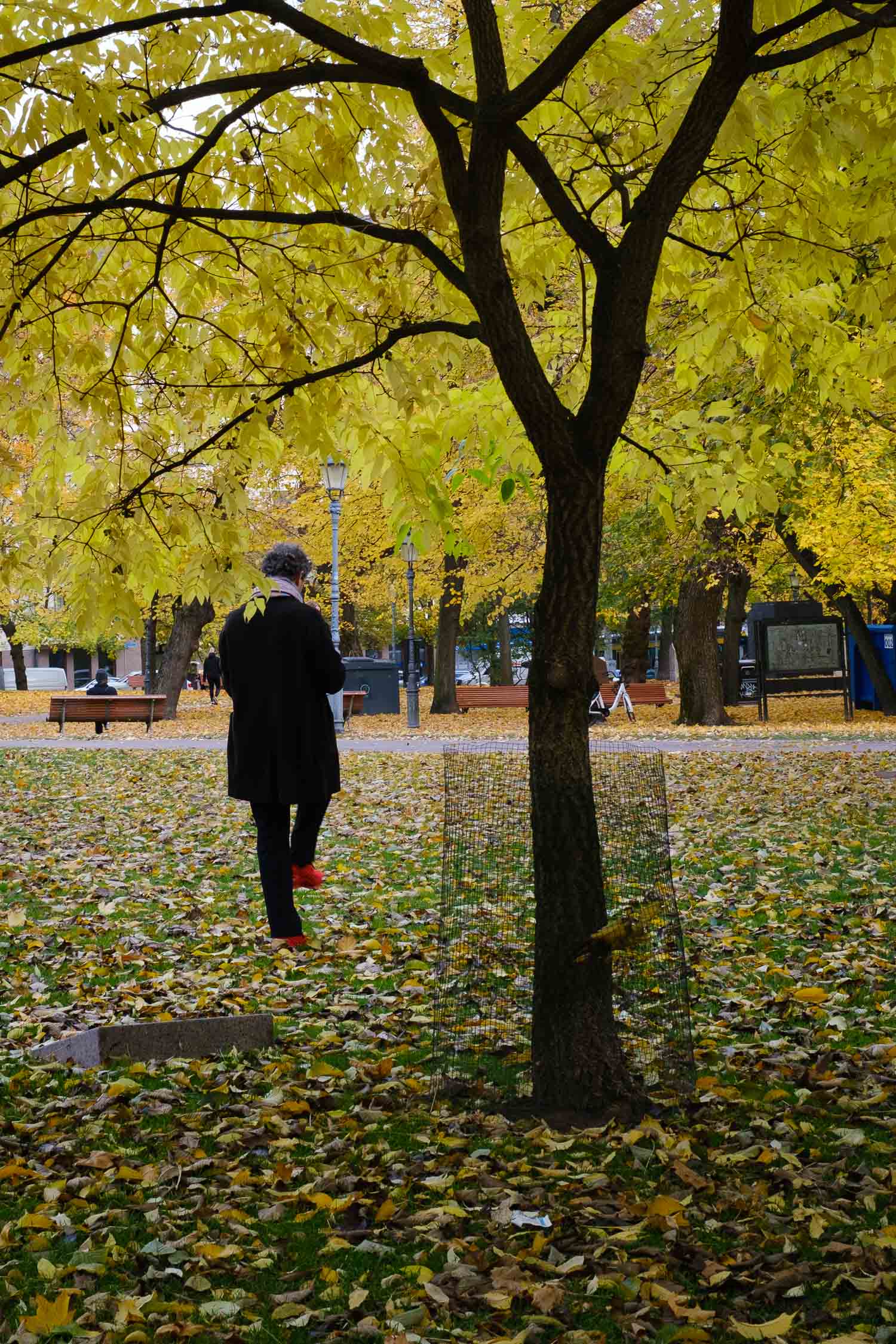 Puisto lountoyhteyden kokemusta varten Helsingissä. Valokuva.