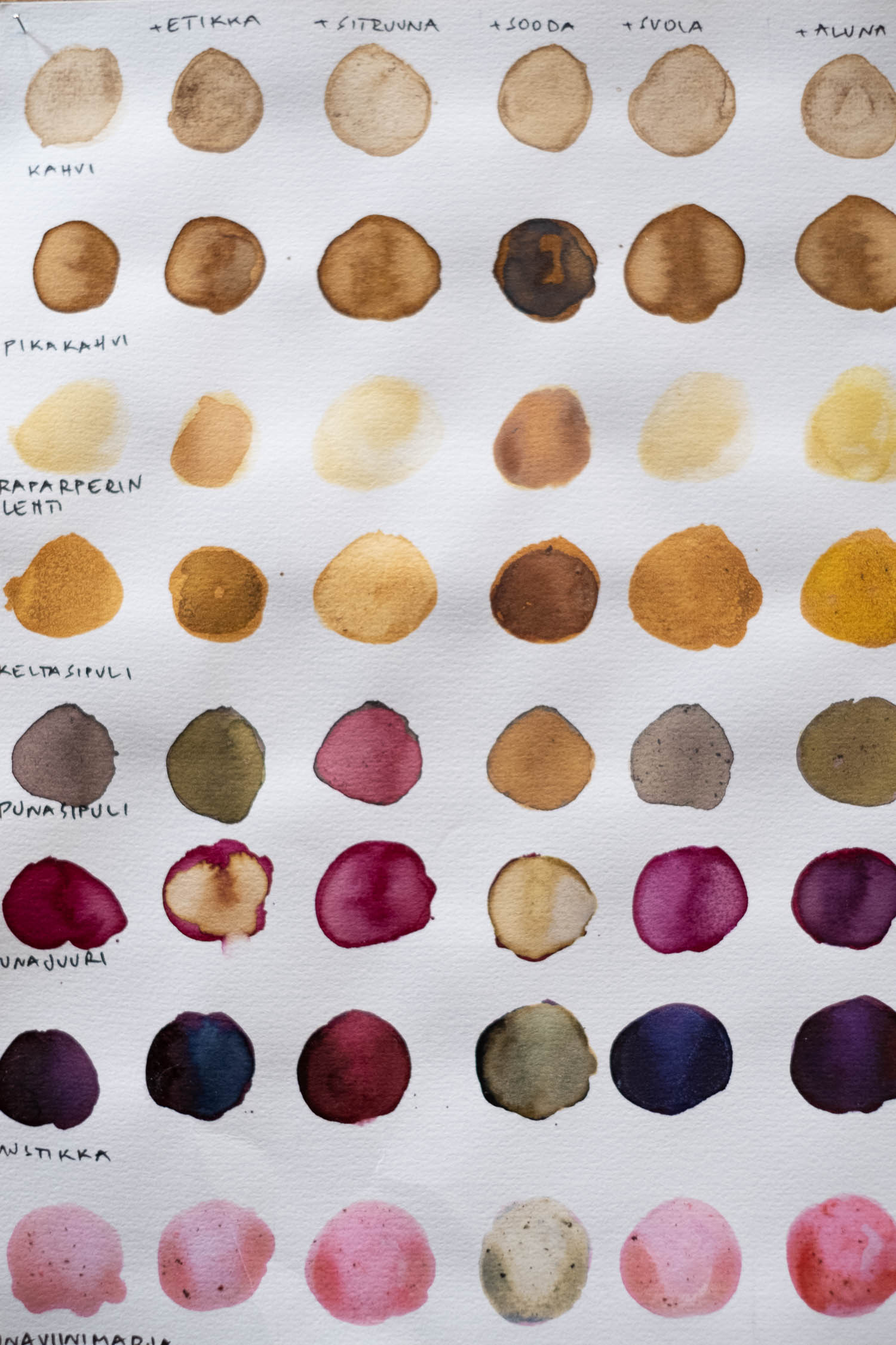 Kasvivärjäys kädentaitomessuilla. Valokuva.