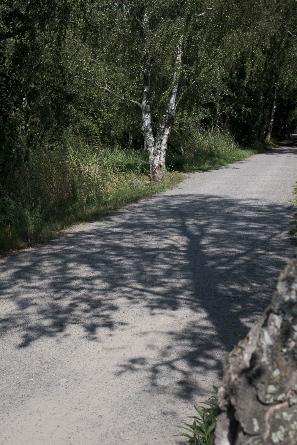 Turun Ruissalo ja saaristomaisema. Valokuva.