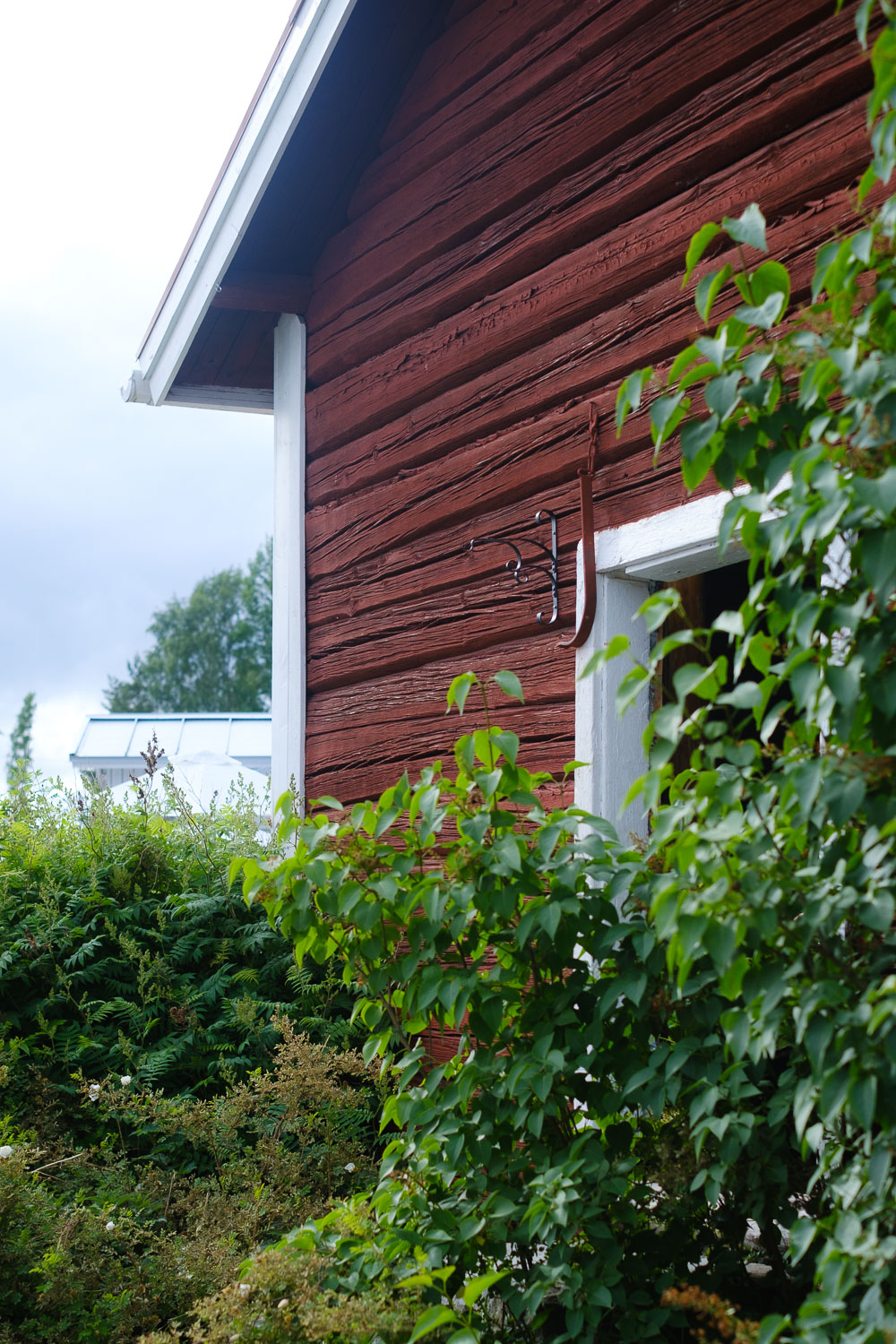 Suttisen Tila Laitikkala. Valokuva.
