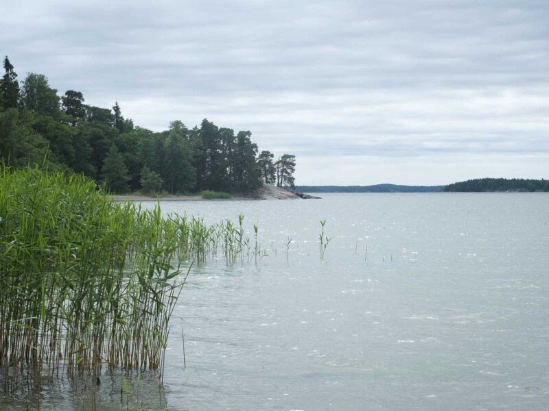 Ruissalon Saaronniemi