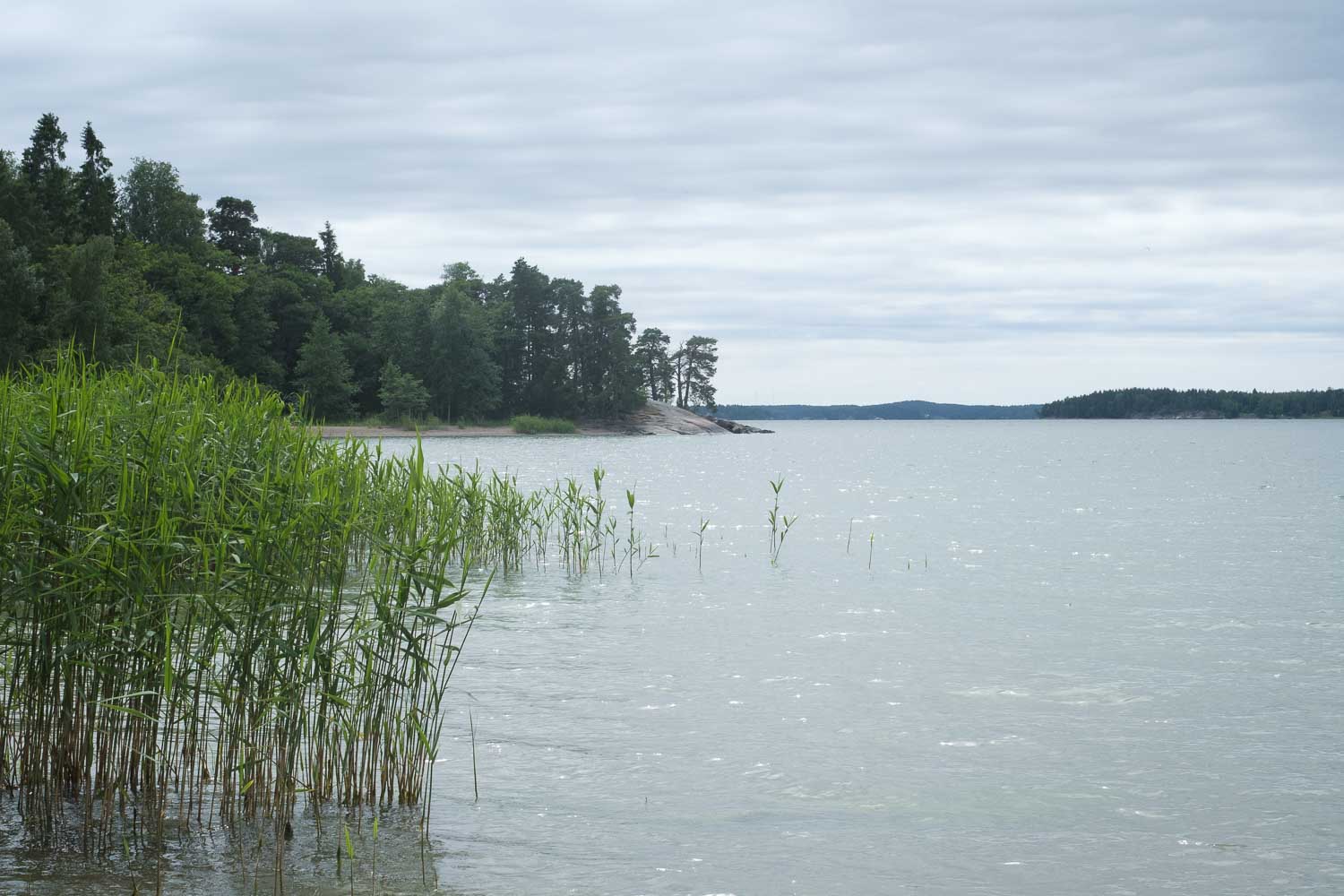 Ruissalon Saaronniemi. Valokuva.